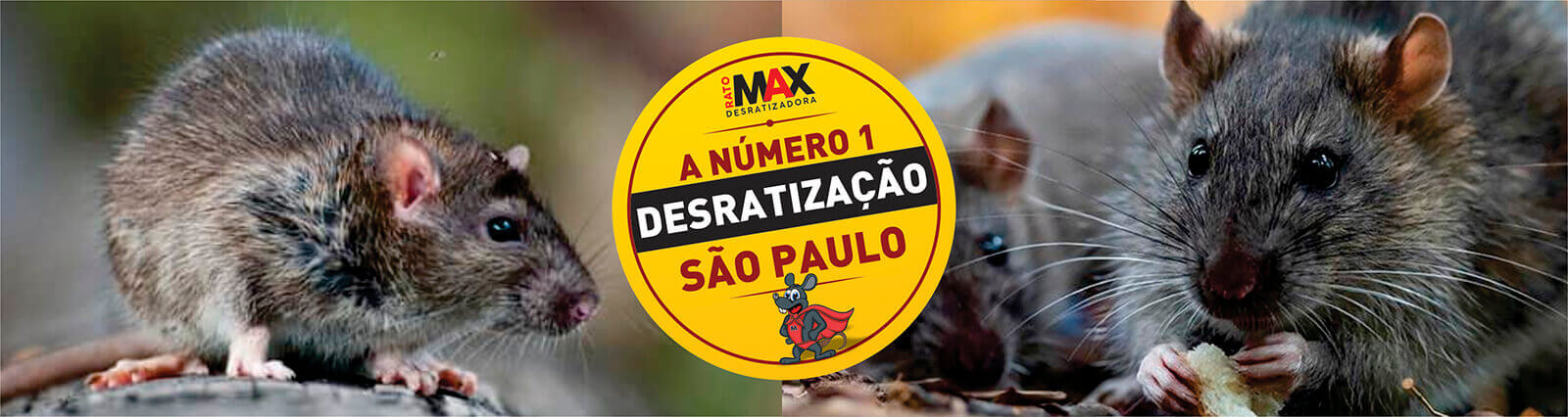 ratomax desratizadora em são paulo