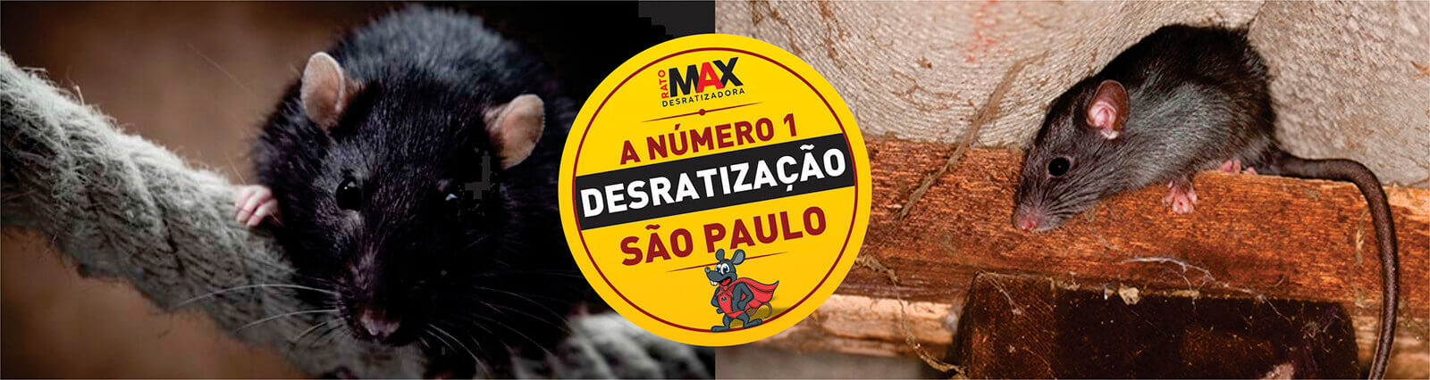 ratomax dedetização em são paulo