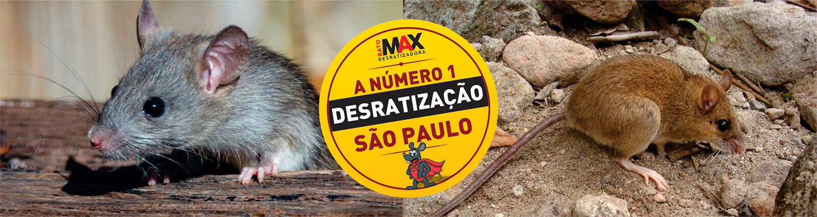 ratomax desratização em são paulo