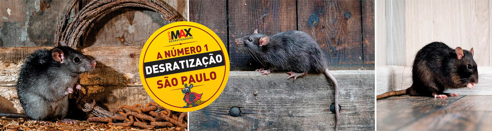 ratomax desratizadora em são paulo